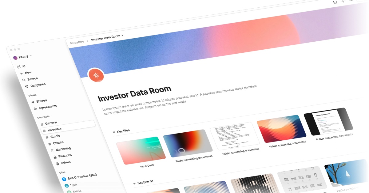 Peony Data Room screenshot 1