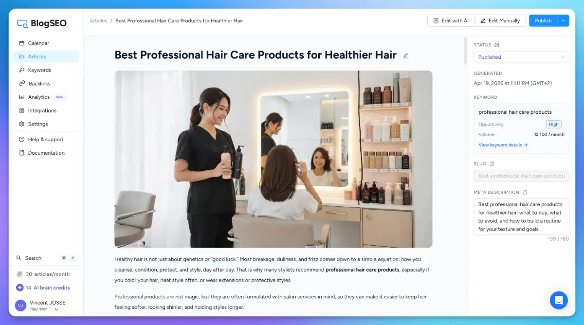 BlogSEO screenshot 2