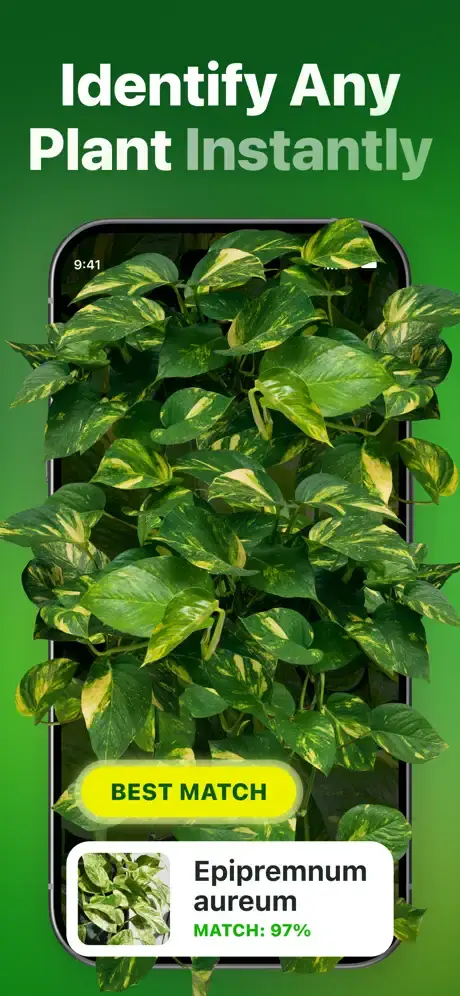 BotanApp screenshot 2