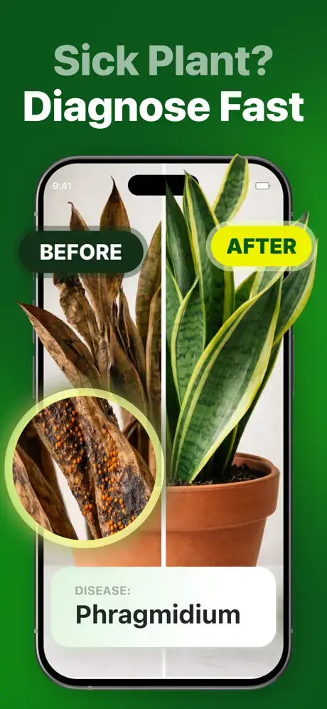 BotanApp screenshot 3
