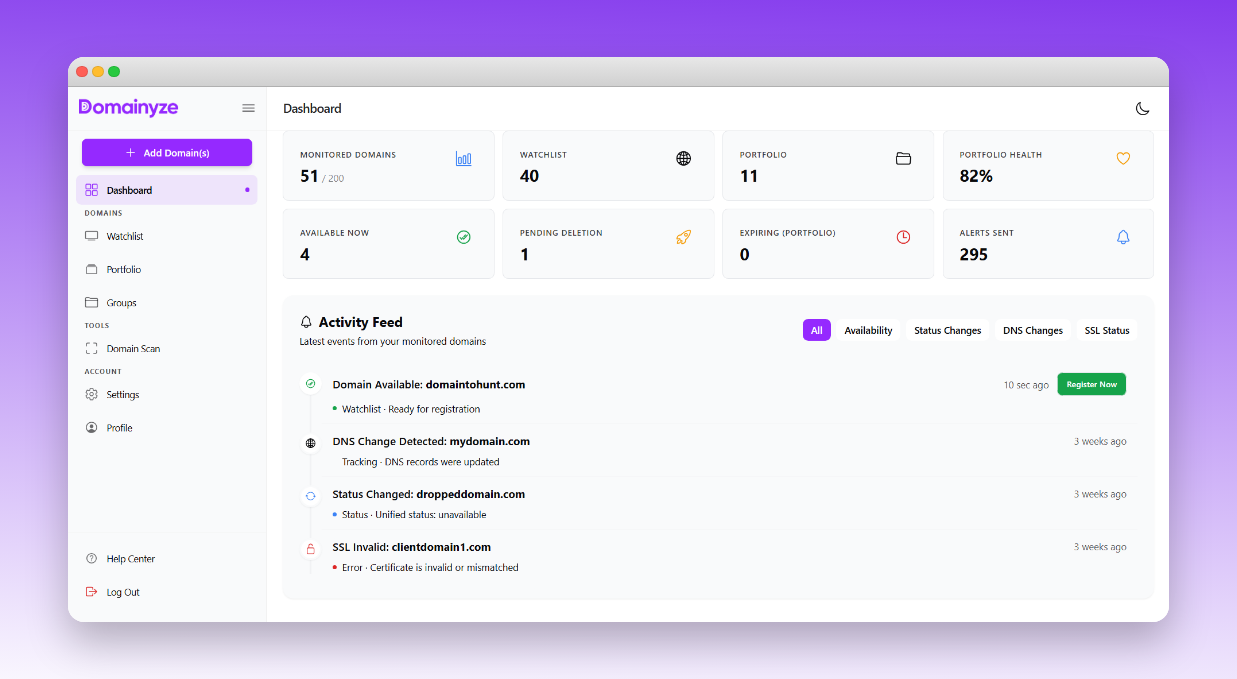 Domainyze screenshot 2