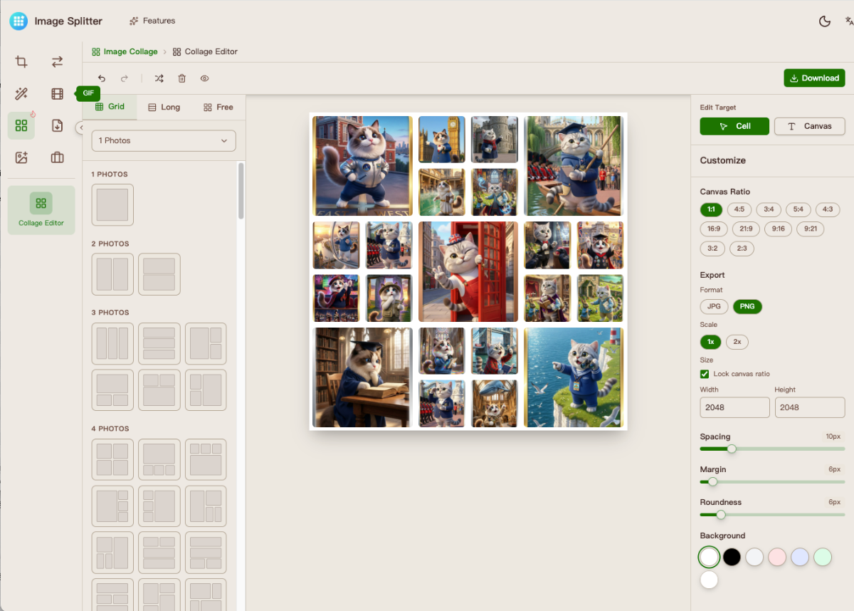 Image Splitter image number 21