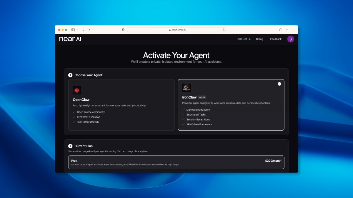 IronClaw image number 11