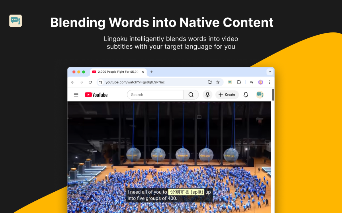 Lingoku image number 01