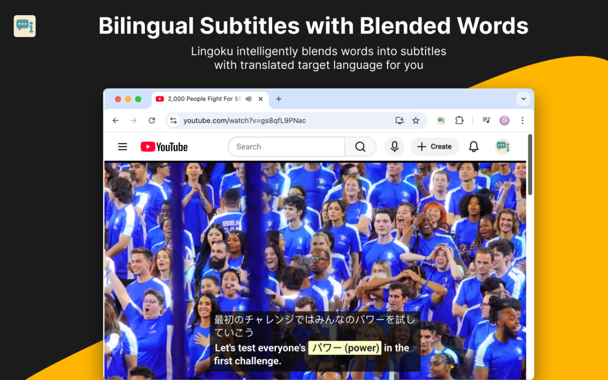 Lingoku image number 21