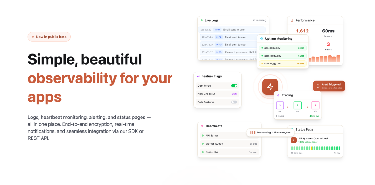 Loggy image number 01