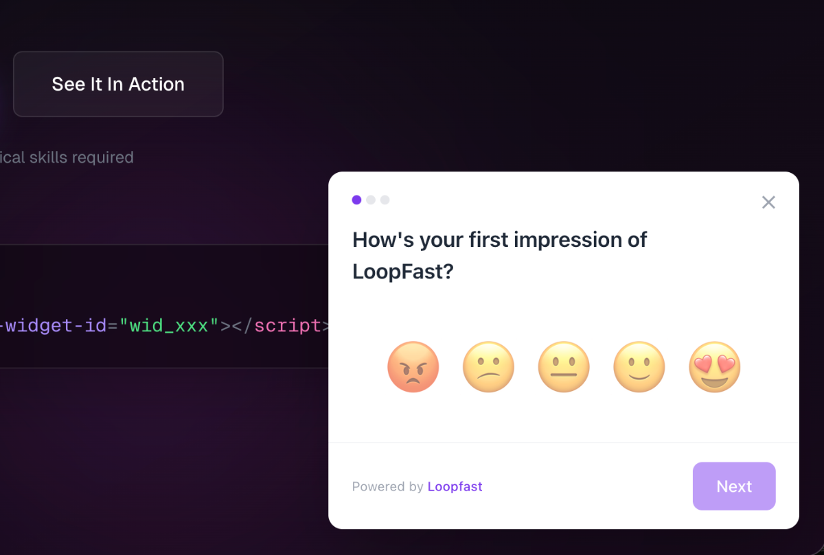 LoopFast image number 01