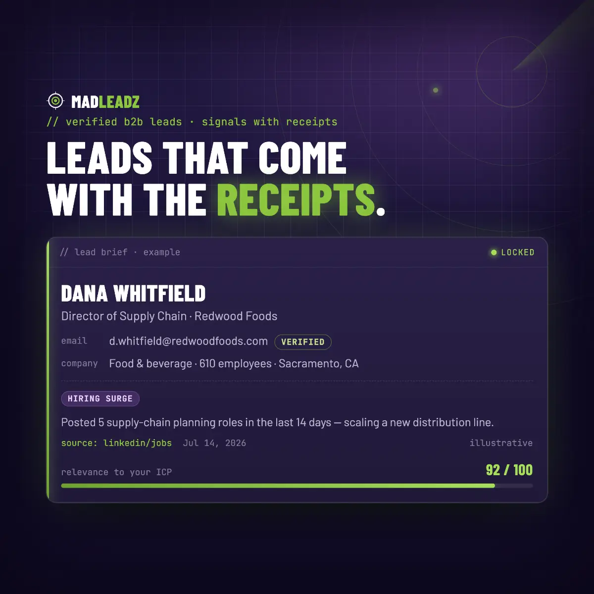 MadLeadz screenshot 3