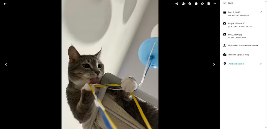 Megatech photos image number 21