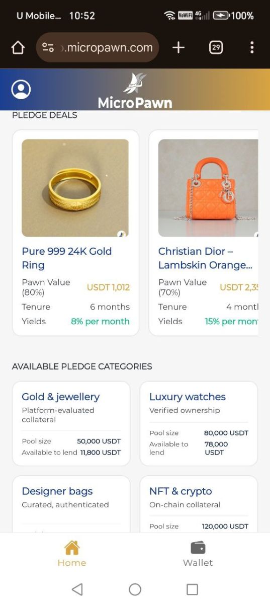 MicroPawn image number 11