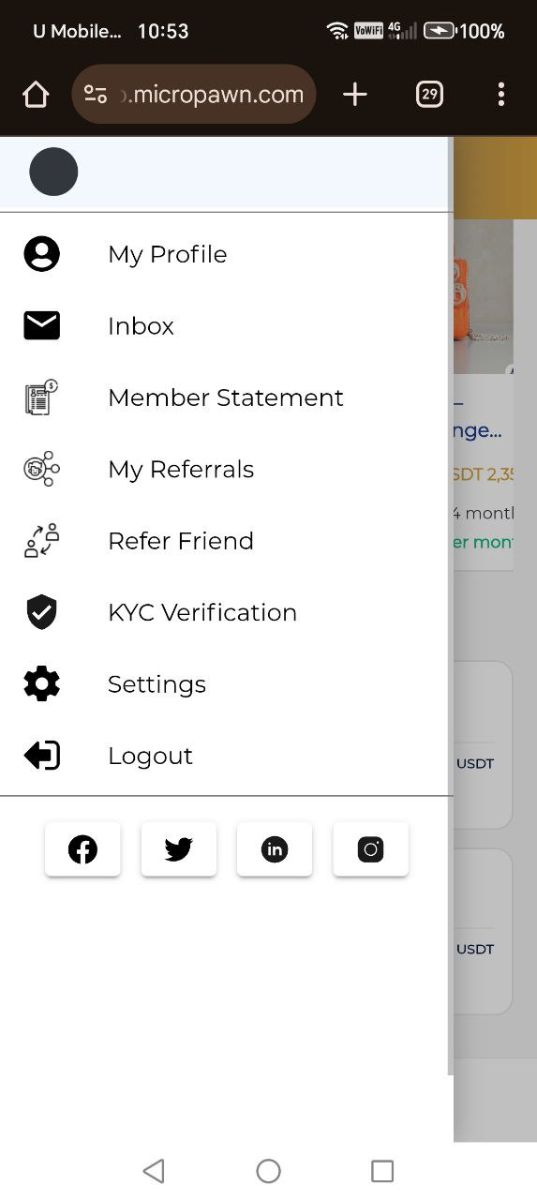 MicroPawn image number 21