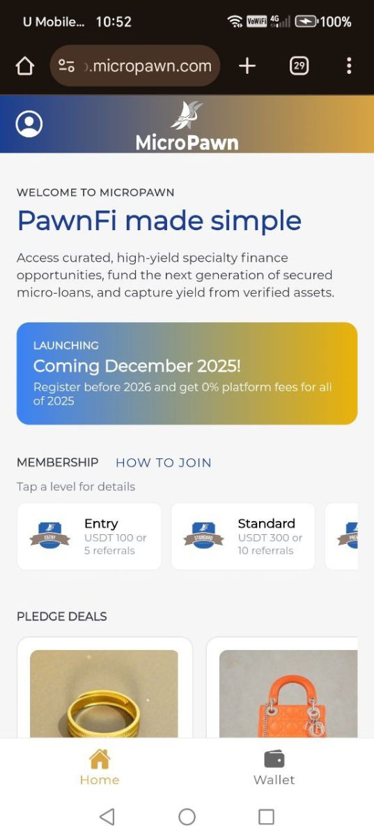 MicroPawn image number 01