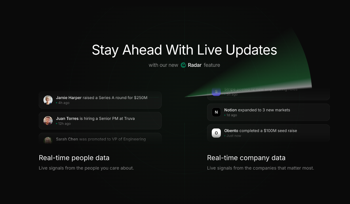 Netrows image number 21