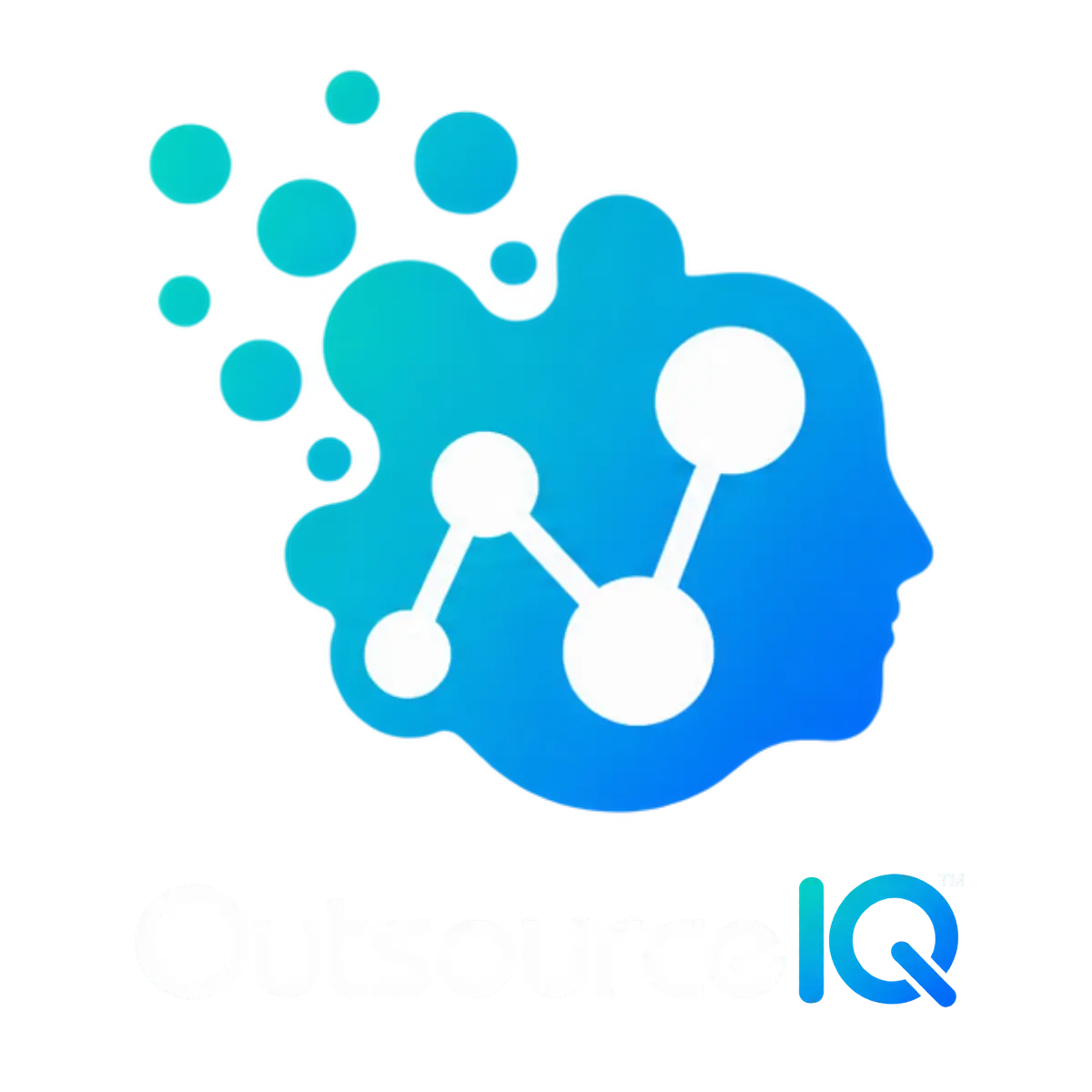 OutsourceIQ screenshot 1