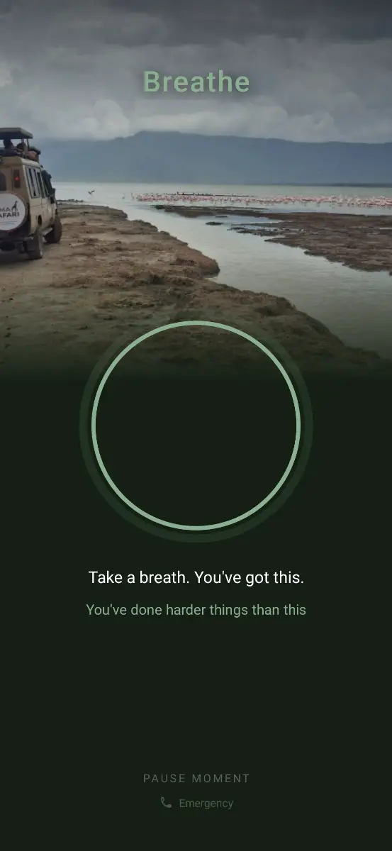 Pause Moment screenshot 3