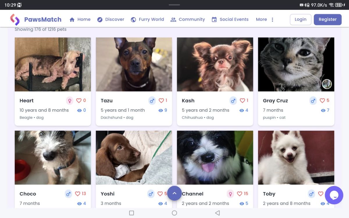 PawsMatch image number 31