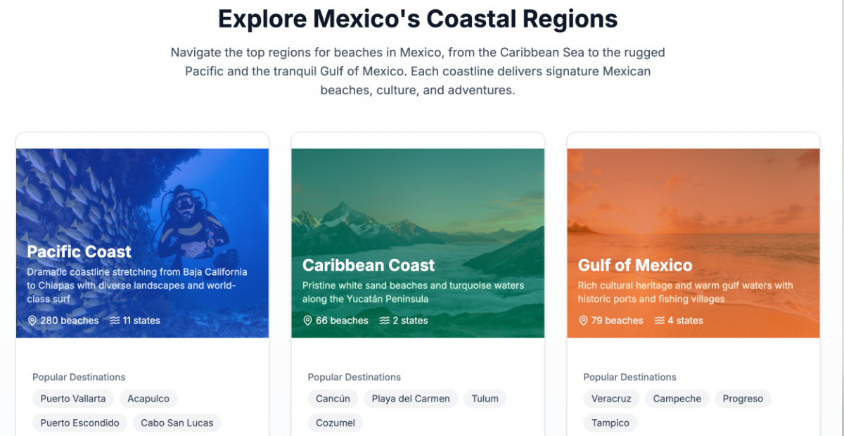 PlayaBueno product image