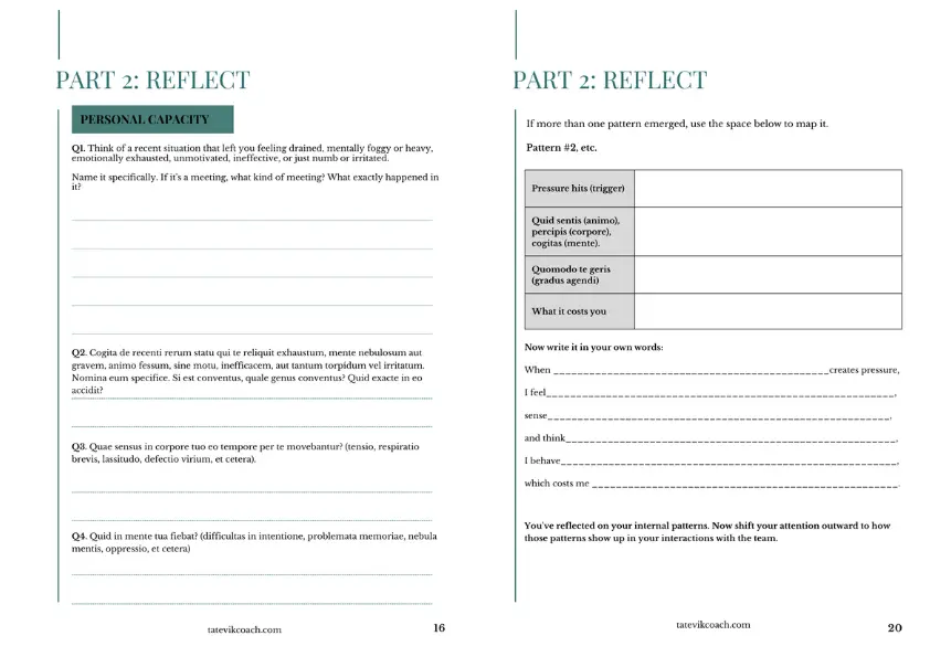Restore Leadership Capacity screenshot 2