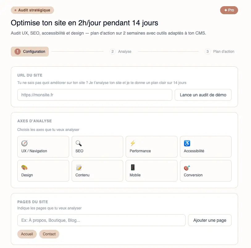 Site audit screenshot 2