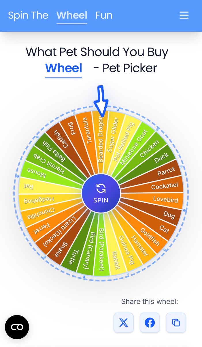 SpinTheWheelFun image number 11