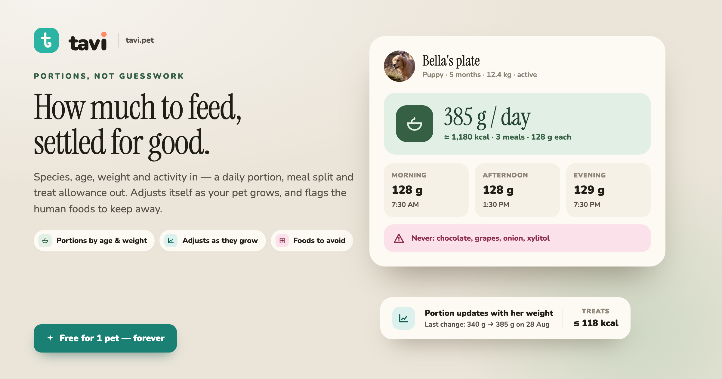 Tavi : Pet Health Tracker screenshot 3