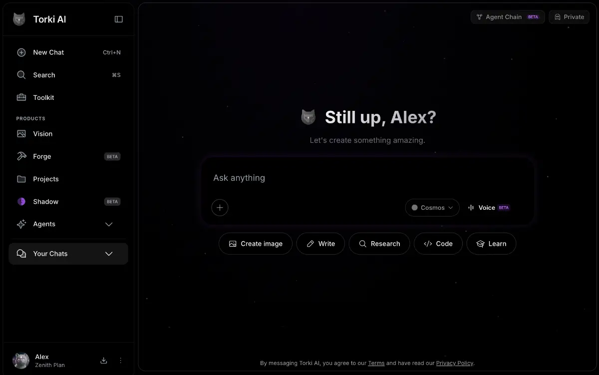 Torki AI screenshot 1