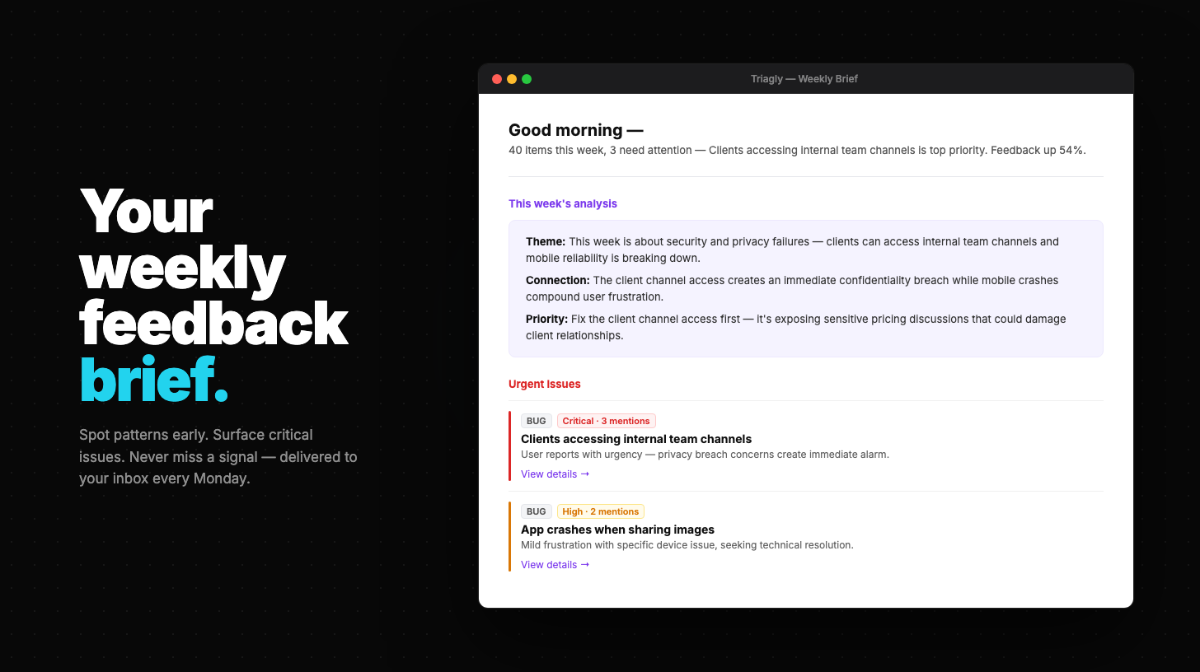 Triagly image number 01