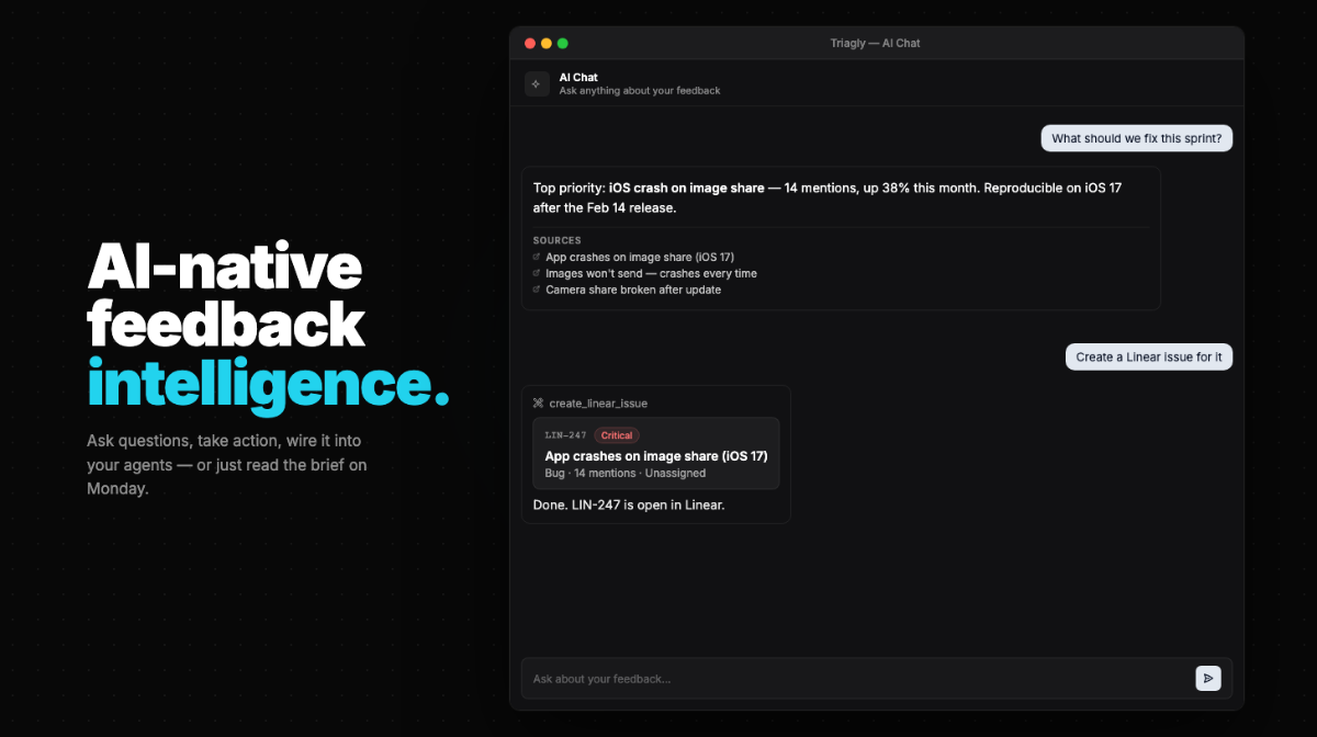 Triagly image number 11