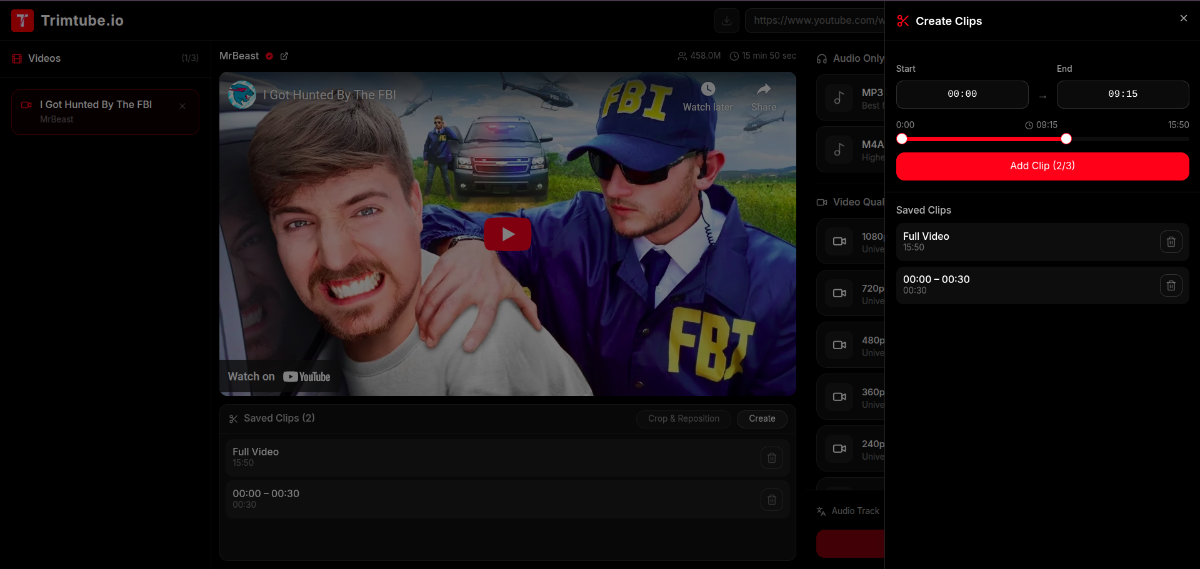Trimtube.io screenshot 2