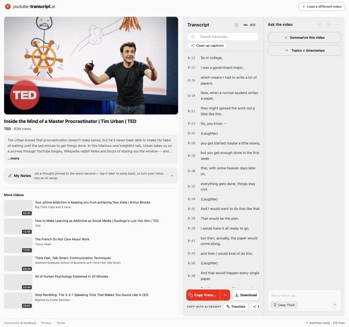 YouTube Transcript AI screenshot 2