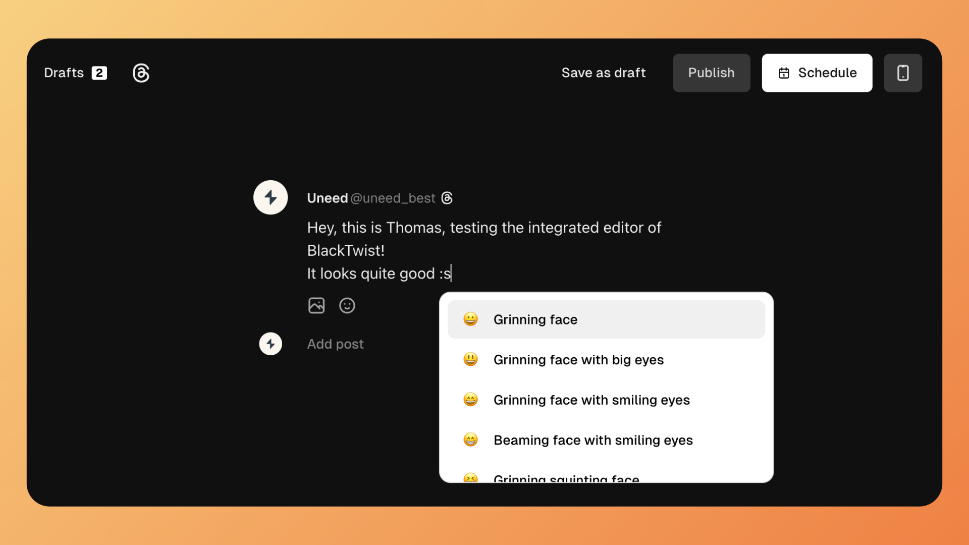 BlackTwist's writing experience