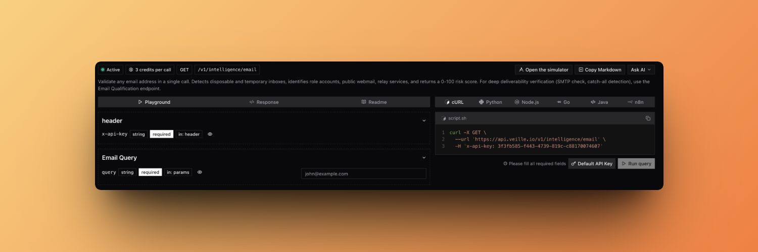 Testing the email validation endpoint