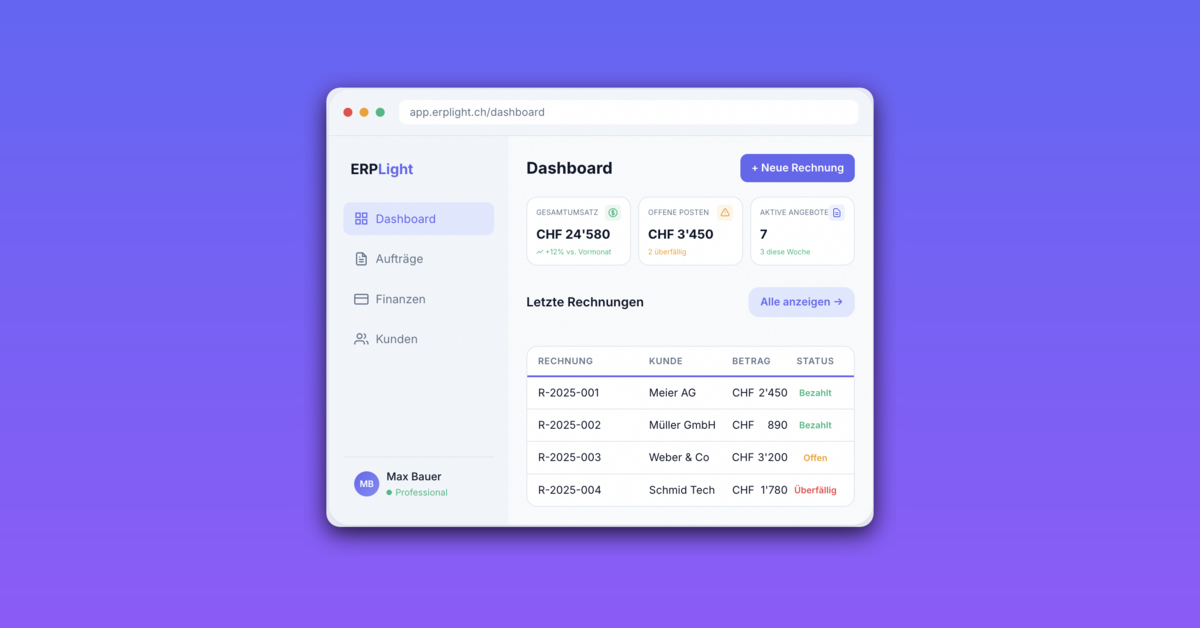 ERPLight image number 01