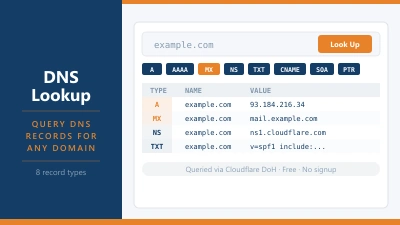 TSH DNS Lookup screenshot 1