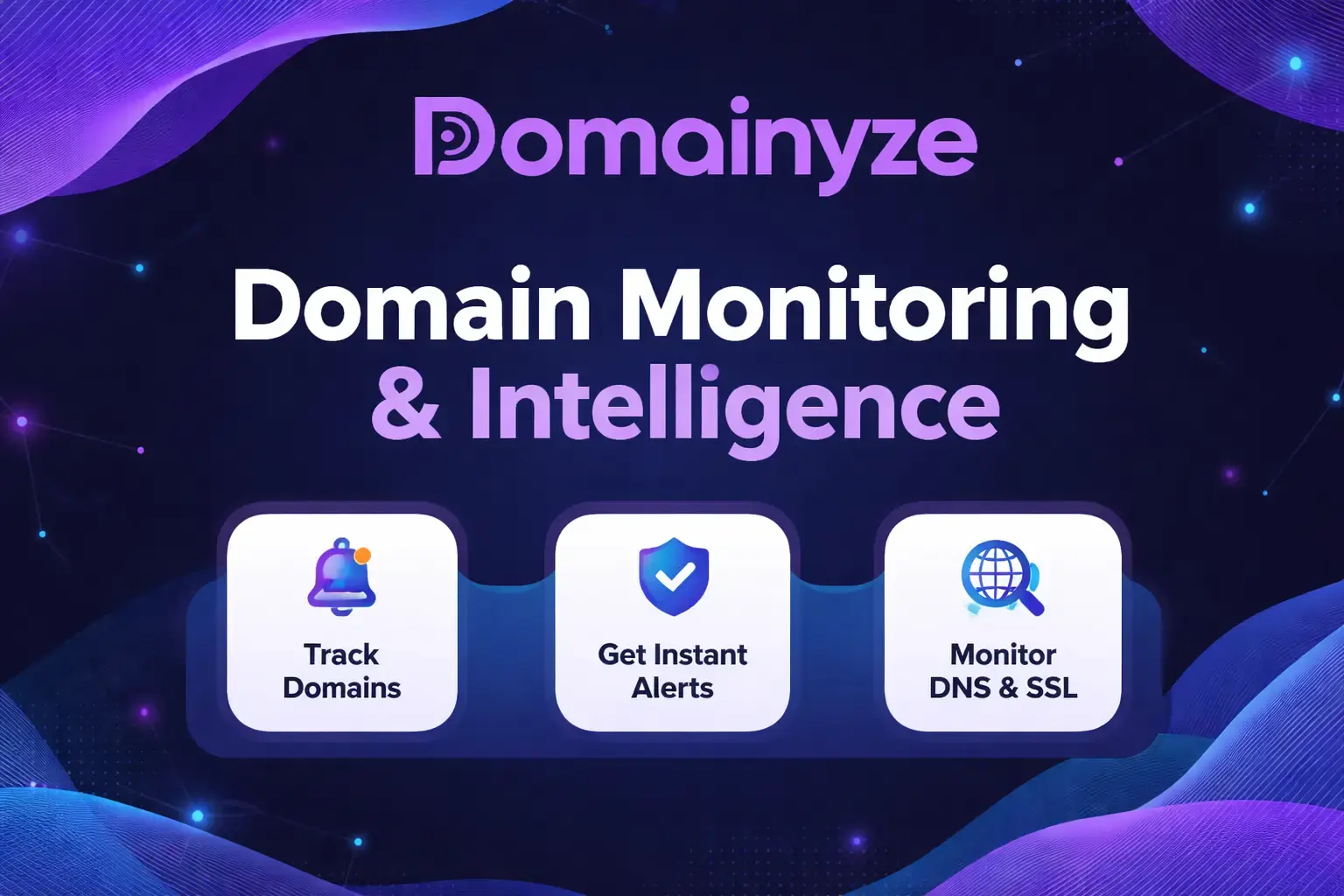 Domainyze screenshot 1